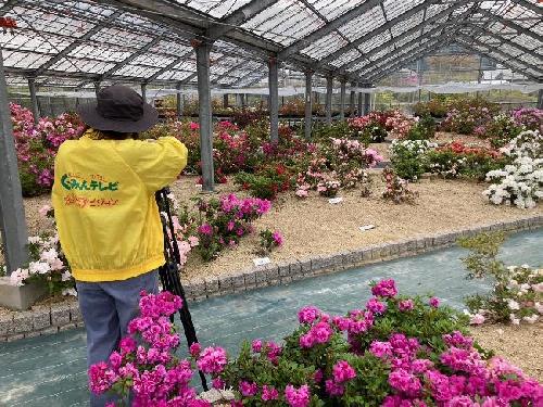 くーみんテレビ取材（４月３日）の画像