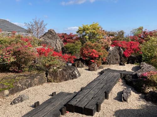 令和８年開花情報（４月11日（土））